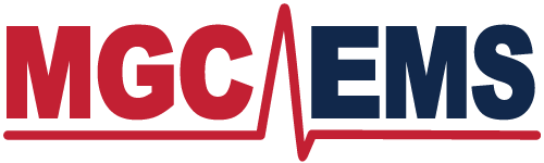EMSA