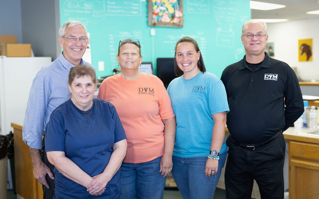 DVM Labs: Vet Website Gets a StoryBrand Glow-Up